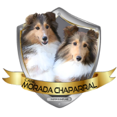 Morada Chaparral